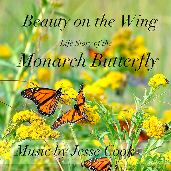 Gloucester Stage Company has special events that happen throughout the